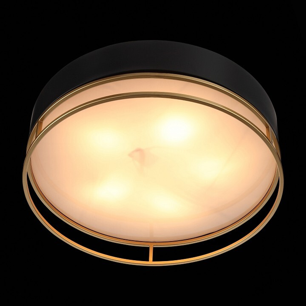 Накладной светильник ST-Luce SL1127.432.05