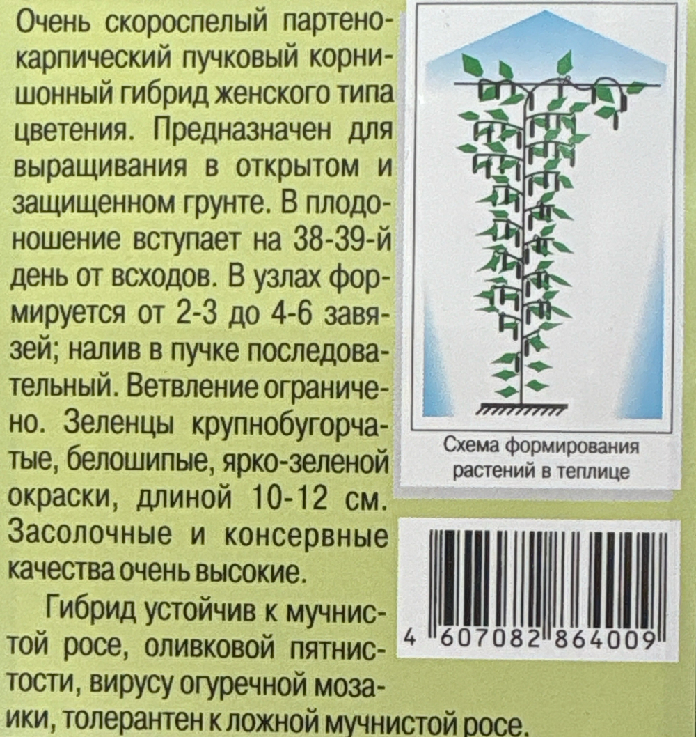 Огурец Кузнечик 10 шт СМО-50