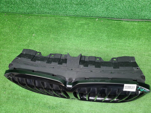 Решетка радиатора BMW X7 G07 (2019-2022)