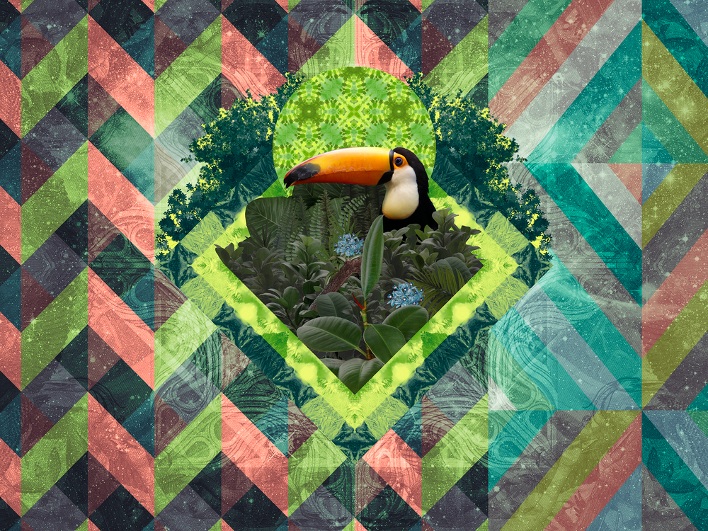 Коллекция GEOTROPICK