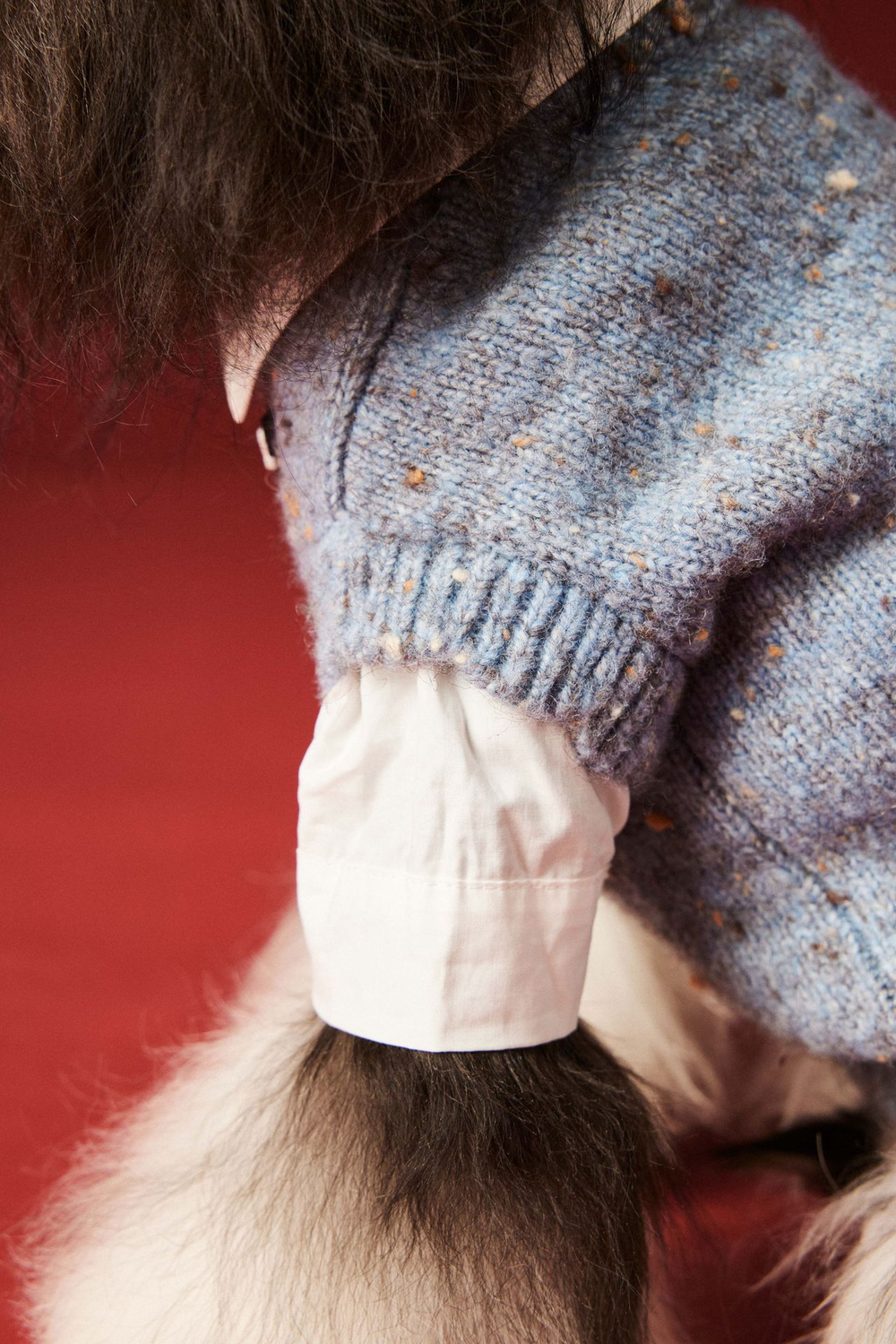 Жилетка для животных Офис (синяя, шерсть)