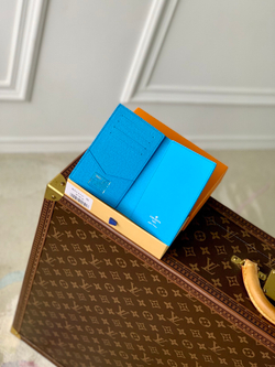 Louis Vuitton Passport Cover
