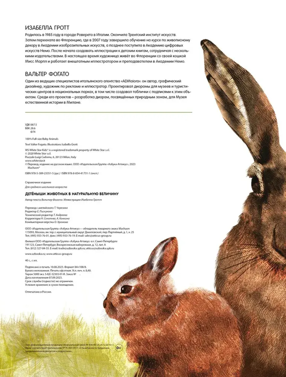 Детёныши животных в натуральную величину