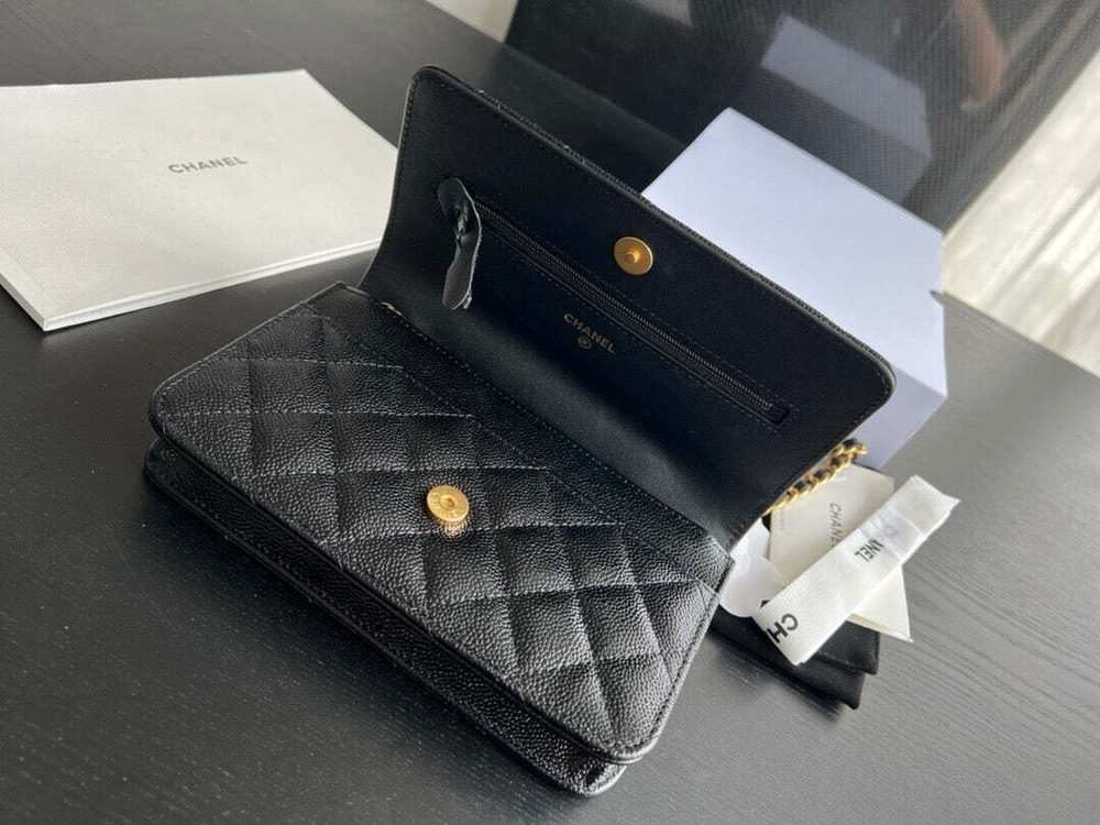 Chanel Bag 19 cm