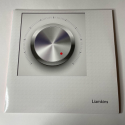 Винтажная виниловая пластинка LP Liamkins Reason Softly Speaks Or Just Make It Louder (Россия 2013)