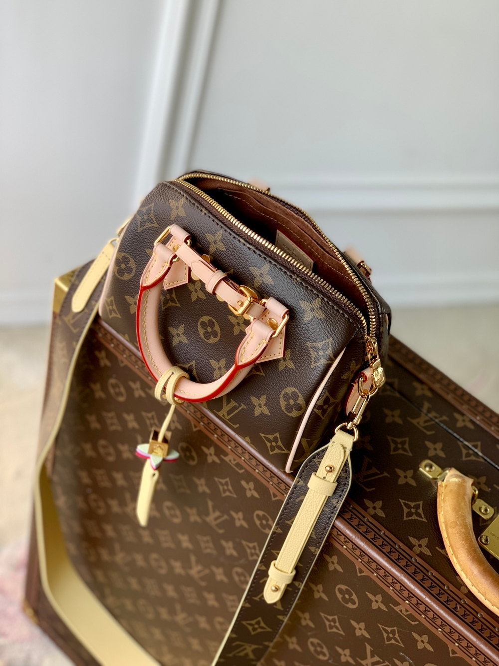 Louis Vuitton Speedy 18