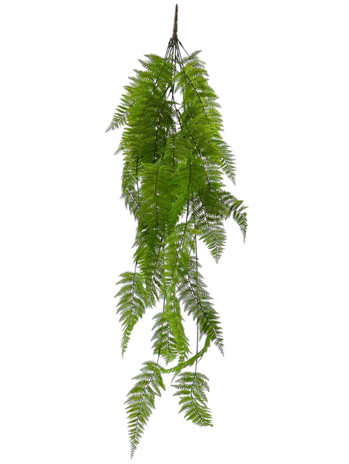 Папоротник многорядник 120 см