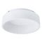 Потолочный светодиодный светильник Arte Lamp A6245PL-1WH