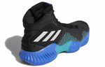 Кроссовки Adidas Pro Bounce 2018