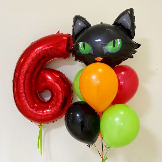 Сет с котом