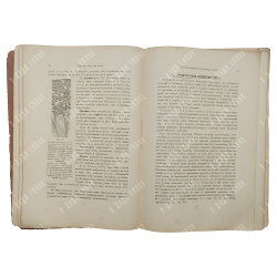 Поспелов А. И. Краткий учебник кожных болезней, 1912.