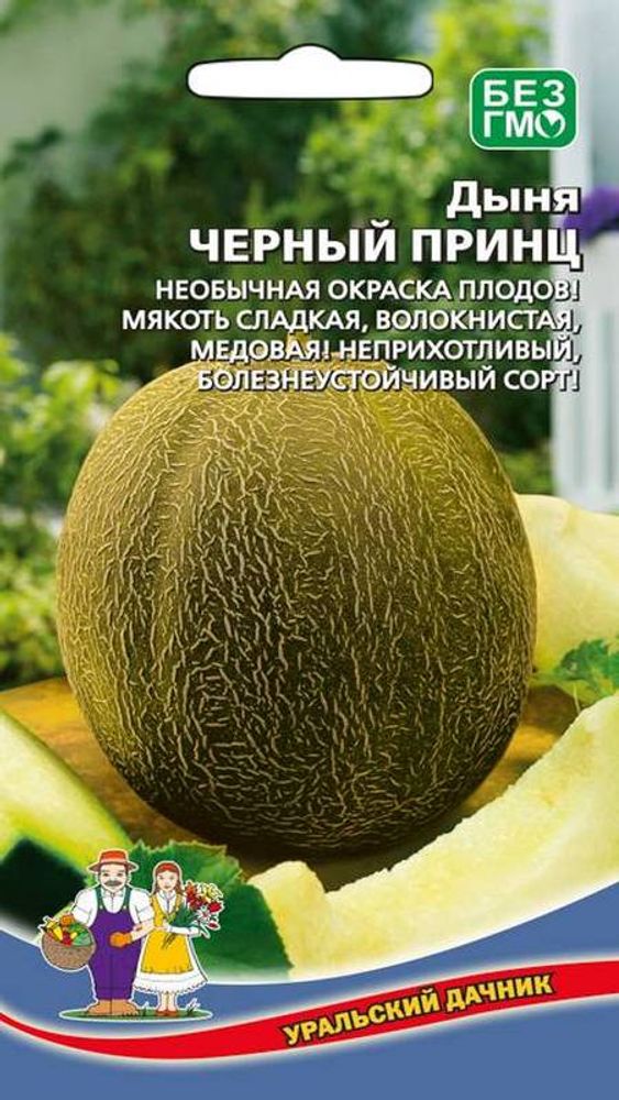 Дыня &quot;G. Черный принц&quot; 6шт., Россия.