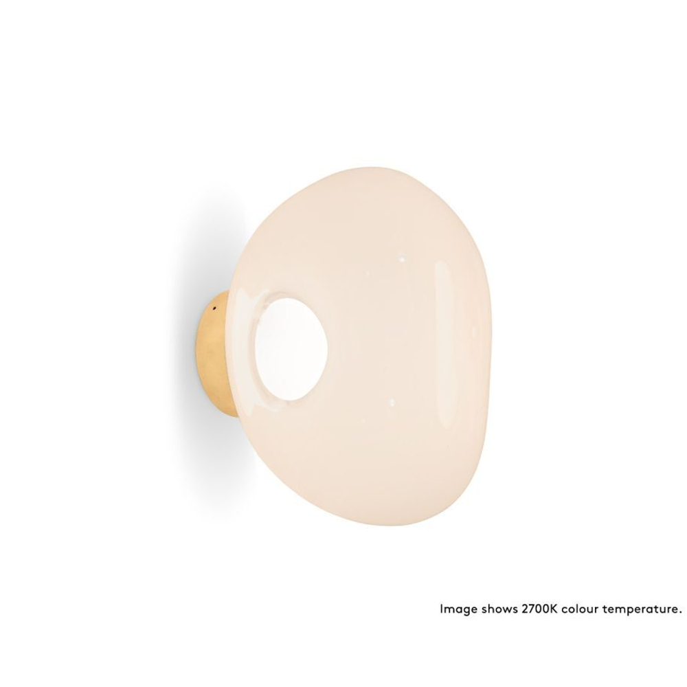 Настенный/Потолочный светильник Melt Mini LED Surface Opal/Gold