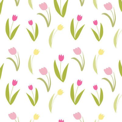 Тюльпаны на белом фоне