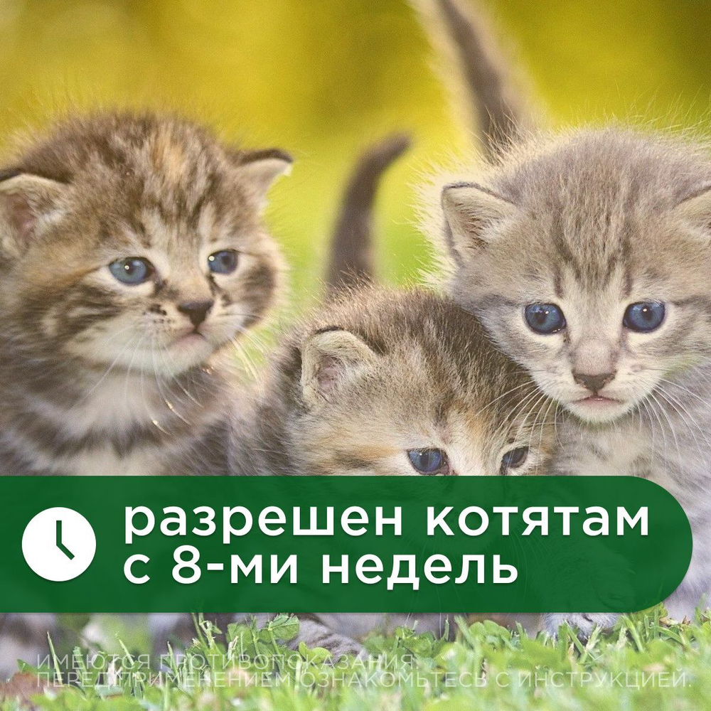 Капли на холку от глистов для кошек Профендер от 2,5-5кг. 2 пипетки в упаковке, Эмодепсид/Празиквантел