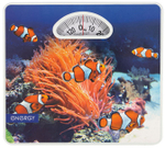 Весы напольные Energy ENM-408H (механические)