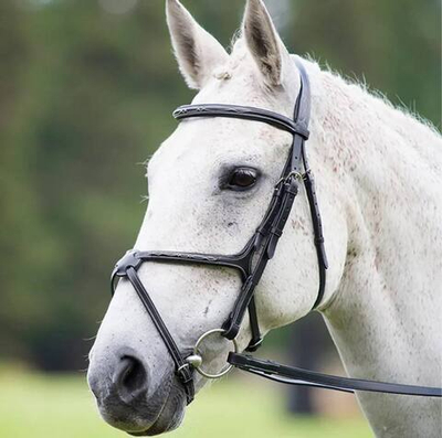 Трензельное оголовье с мексиканским капсюлем Shires Avignon Grackle Bridle - Black