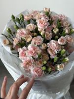 Моно букет из кустовых диантусов в нежно розовом оттенке 25 шт