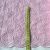 Ткань шитье светло-розовое 3304
