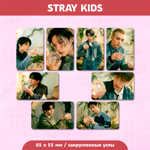 Сет карточек / STRAY KIDS #248