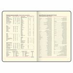 Ежедневник недатированный БОЛЬШОЙ ФОРМАТ 210х297мм А4, BRAUBERG Iguana, 160л, синий, 114451