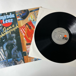 Винтажная виниловая пластинка LP Amanda Lear I Am A Photograph (Germany 1977) Pretty Boys