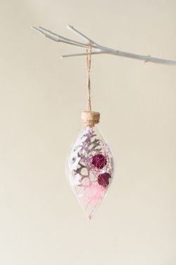 Сосулька Успешный