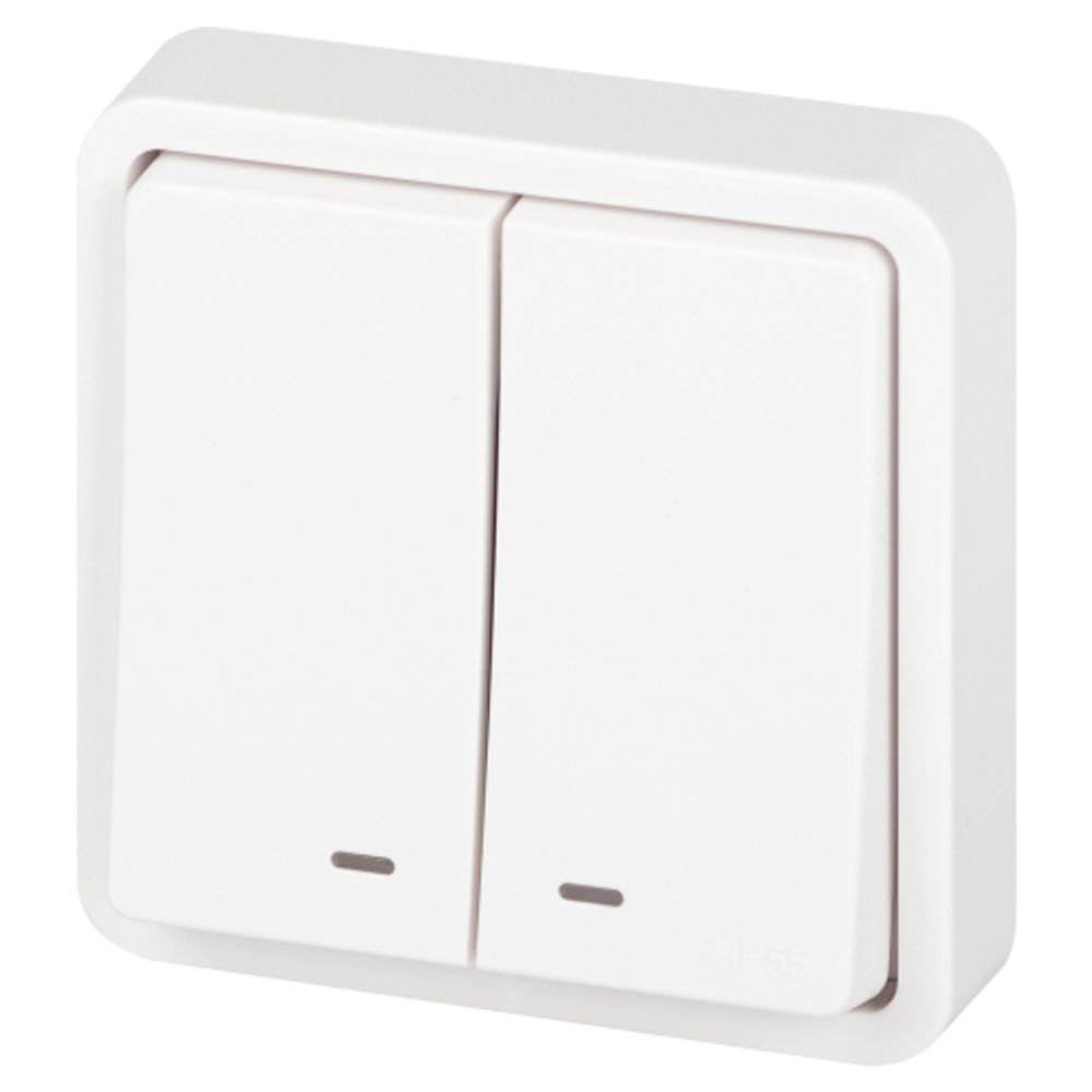 Выключатель ЭРА Эксперт 11-1525-01 двойной с подсветкой IP55 10АХ-250В СУ белый