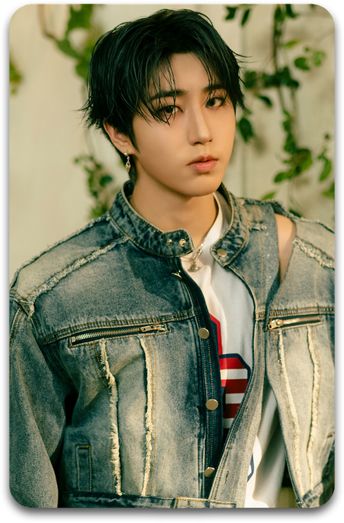 Карта / STRAY KIDS #3274