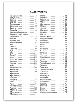 Книга "Растения России" Васильева Н.Ю., 1 класс, школьный словарик, офсетная печать
