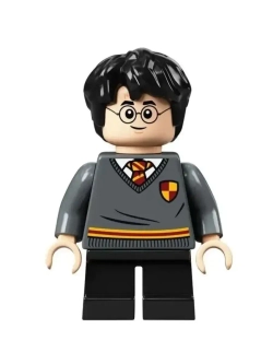 Конструктор Гарри Поттер "Урок заклинаний" 268 деталей 60009