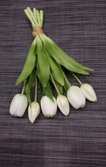 Тюльпаны 30 см 7 цветов / #5 (белый с зеленым)