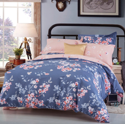 Постельное белье СайлиД B-176 сатин