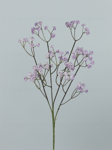 Ветка гипсофилы лавандовой