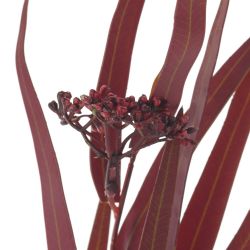 GAEM Цветок искусственный "Костер", L16 W16 H84 см, 2в.