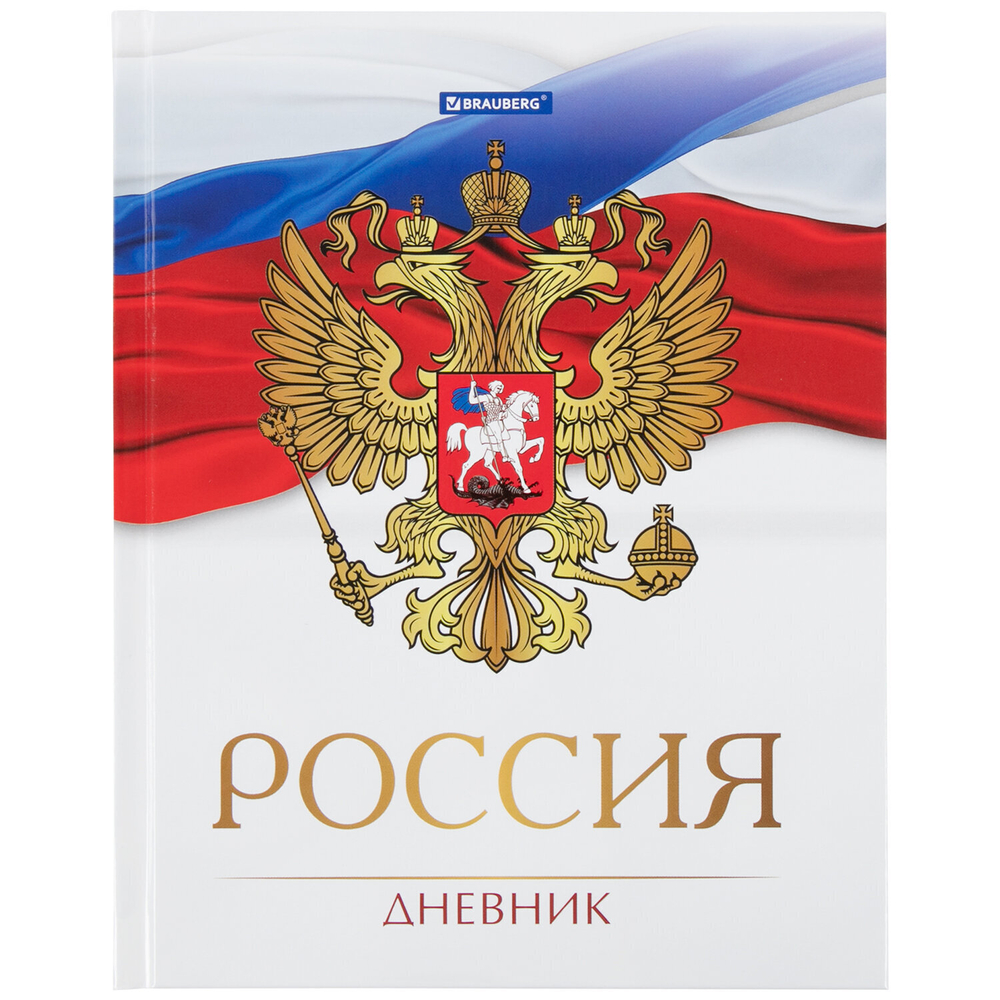 Дневник 5-11 класс 48 л. твердый BRAUBERG глянцевая ламинация с подсказом "символика 2" (6 штук в упаковке)