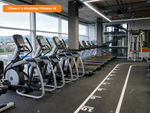 Рулонное покрытие EcoStep Fitness