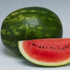 Кольт F1 семена арбуза (Takii / Таки)