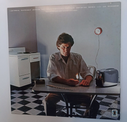 Винтажная виниловая пластинка LP Don Henley I Cant Stand Still (Japan 1982)