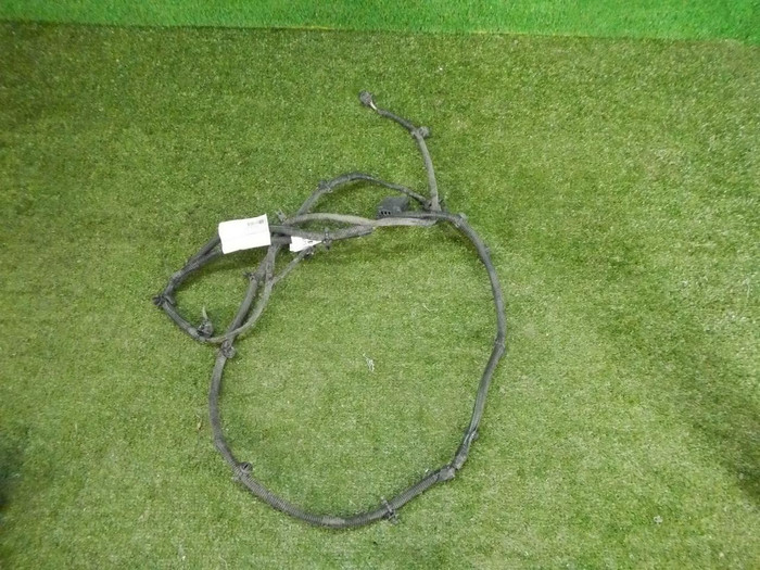 DSCN5405.jpg