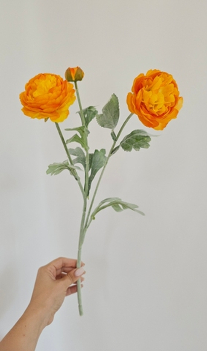 Ранункулюс / Арт 2267