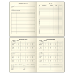 Дневник 1-11 кл. 48л. (ЛАЙТ) "Total gray", иск. кожа, тиснение, цветн. срез, ляссе, BG