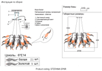 Люстра Crystal Lux STEFANIA SP6R