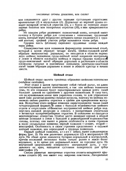 Анатомия северного оленя | А.И. Акаевский