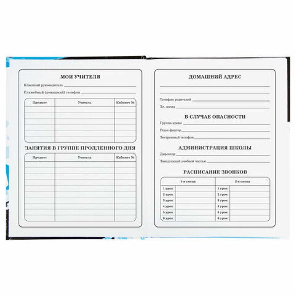 Дневник 1-4 класс 48 л., твердый, BRAUBERG, глянцевая ламинация, с подсказом, "Дрифт", 106355
