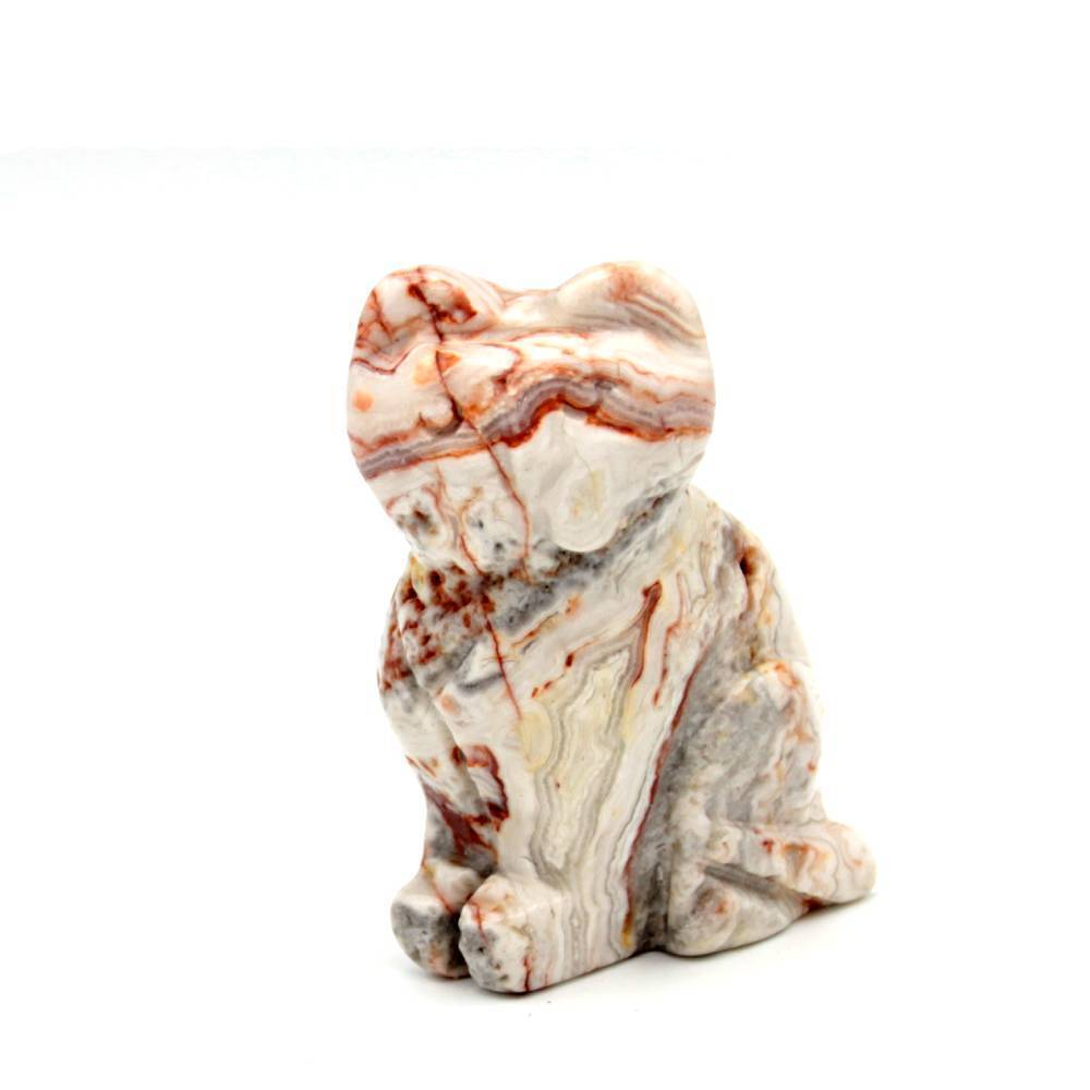 Кошка агат асс.