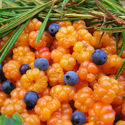 Отдушка Nordic Berries (Северные ягоды)