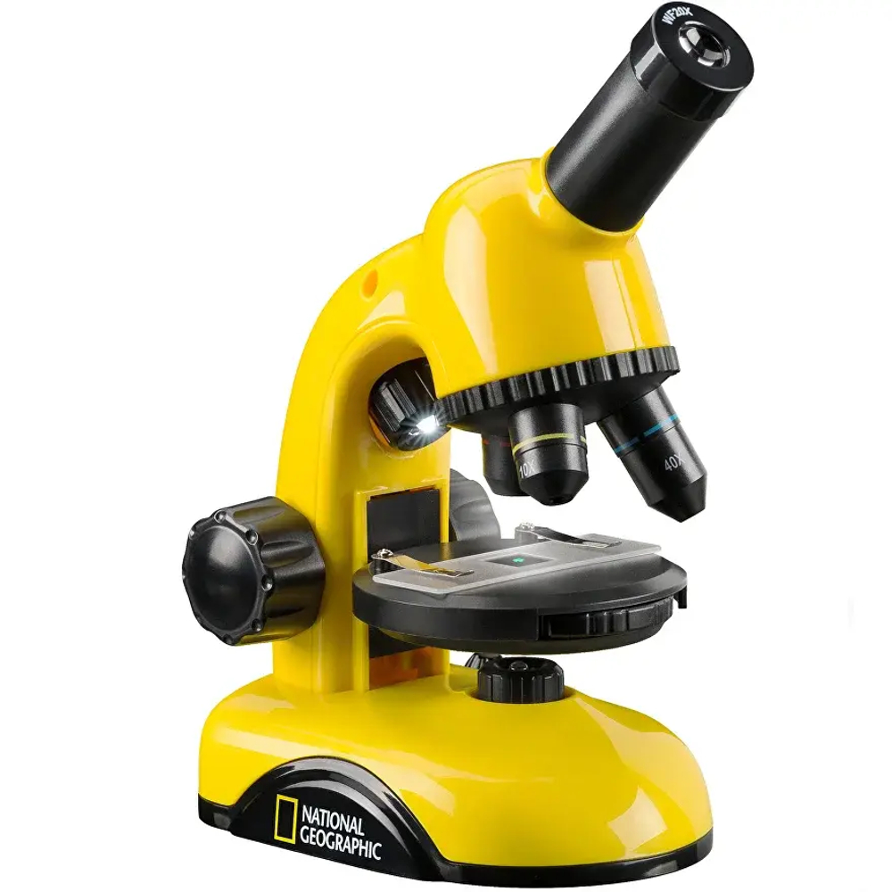 Микроскоп Bresser National Geographic 40x-800x с держателем для смартфона