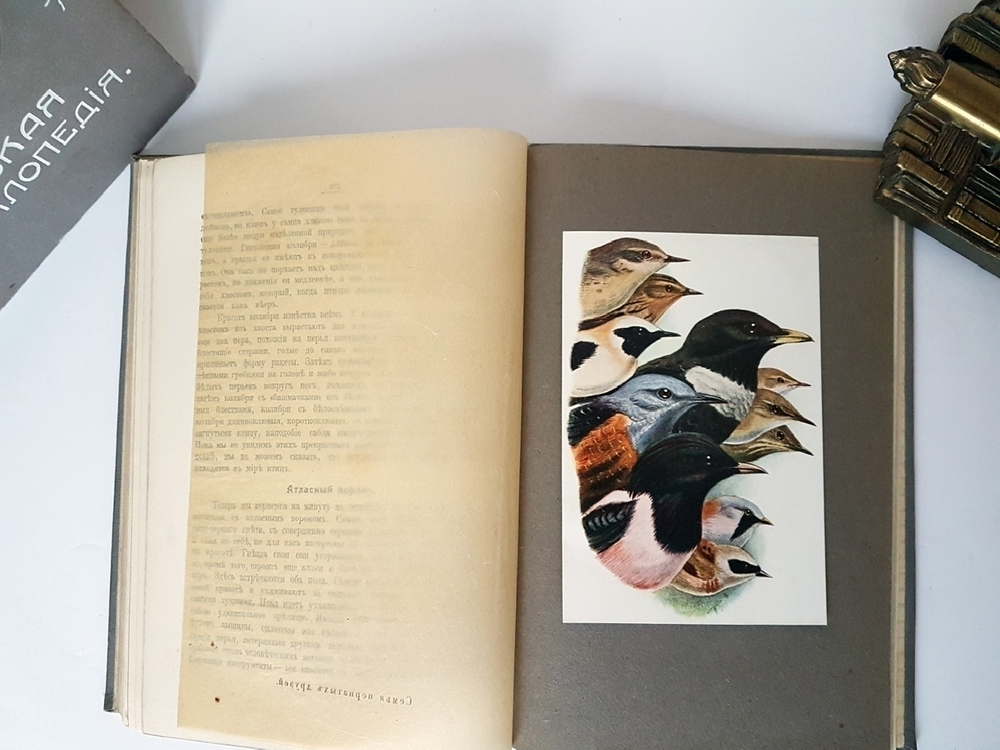 "Детская энциклопедия". . 1914г. - антикварное издание