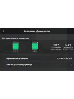 Квадрокоптер DJI Mini 2